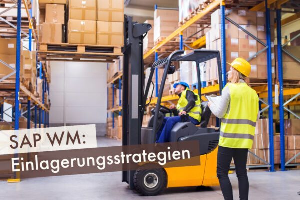 SAP WM: Einlagerungsstrategien