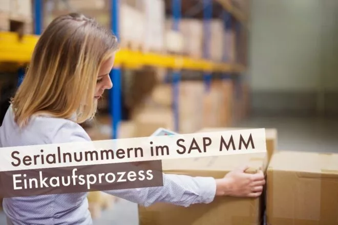 Serialnummern im SAP MM Einkaufsprozess