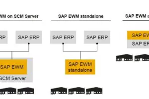 Einsatzmöglichkeiten von SAP EWM