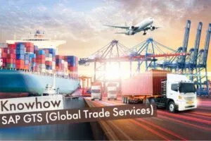 SAP GTS