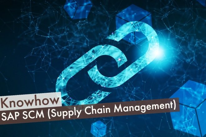 Cat Scm SAP SCM - Supply Chain Management mit SAP | Mindlogistik