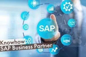 SAP Business Partner