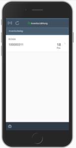Auswahl Inventurbeleg