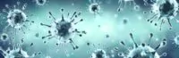 Corona Virus - Microbiology And Virology Concept - 3d Rendering