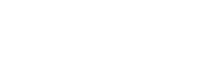 Audi Icon