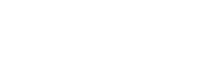 VW Icon