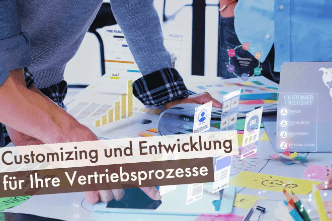 Customizing&Entwicklung