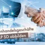 Außenhandelsgeschäfte in SAP SD abbilden