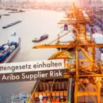 Lieferkettengesetz einhalten mit SAP Ariba Supplier Risk