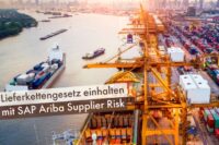 Lieferkettengesetz einhalten mit SAP Ariba Supplier Risk