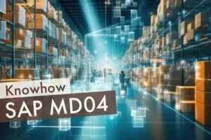 SAP MD04