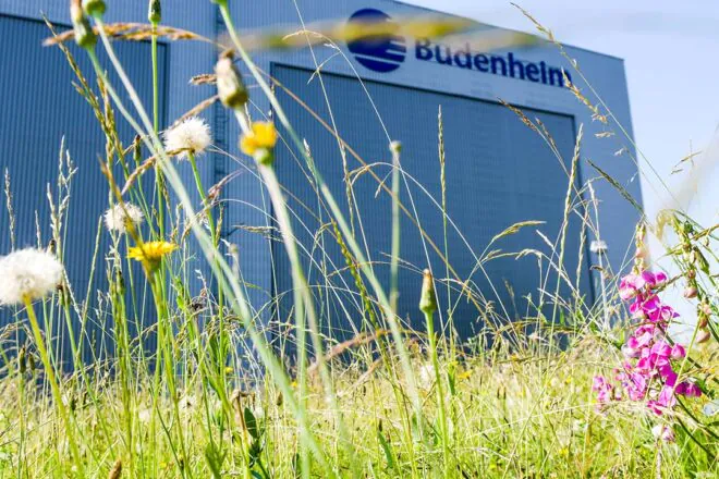 Budenheim_Beitragsbild1-1