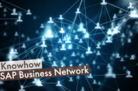 SAP Business Network Beitragsbild Netzwerk