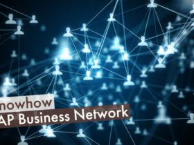 SAP Business Network Beitragsbild Netzwerk