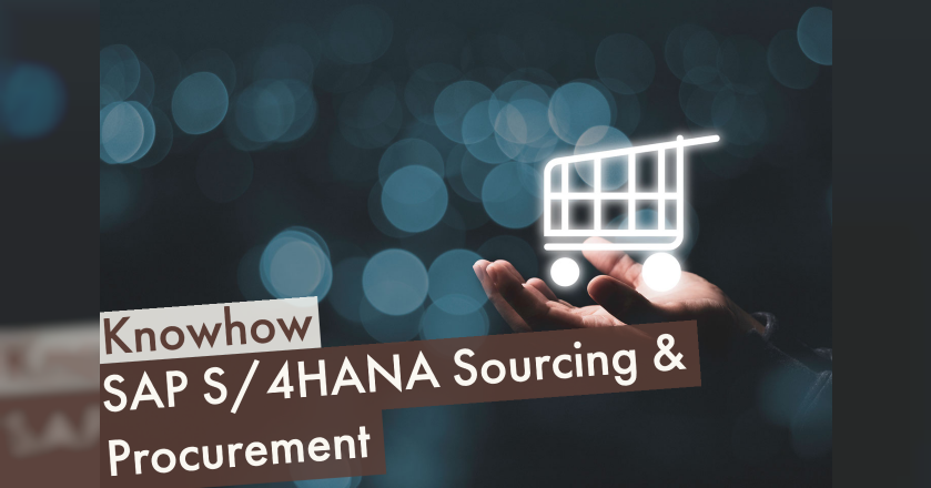 SAP S/4HANA Sourcing & Procurement | Mindlogistik