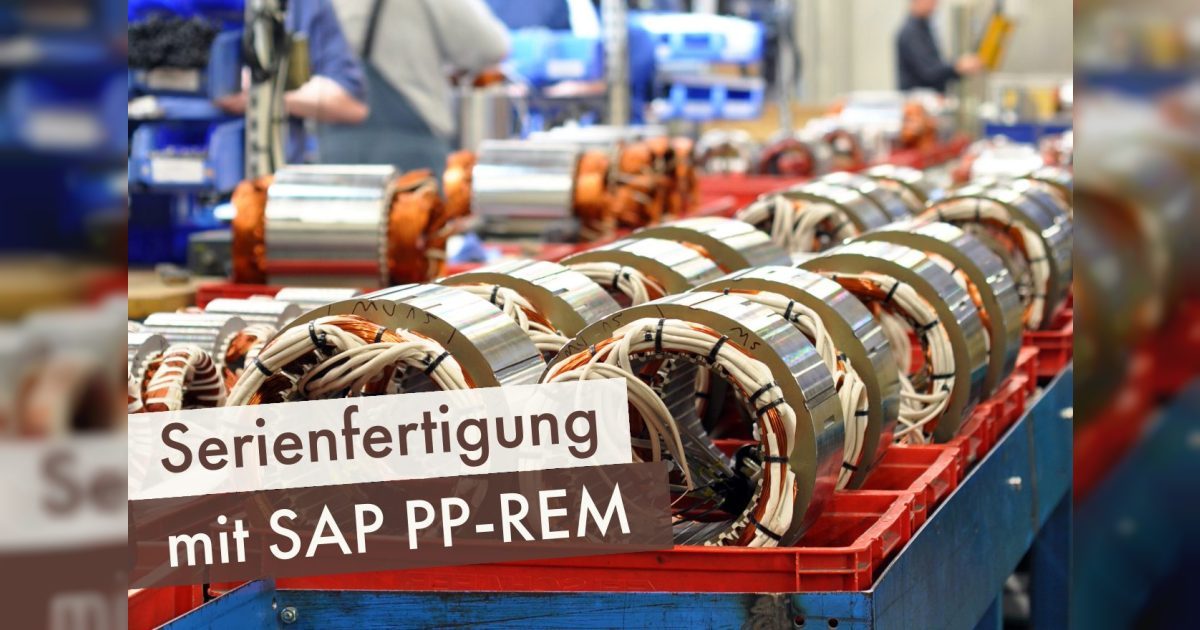 Serienfertigung mit SAP PP-REM | Mindlogistik