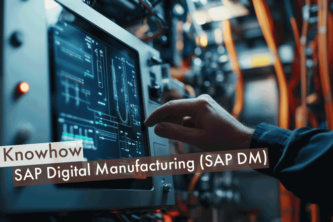 SAP DM