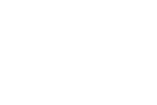 Honeywell Logo in weiß