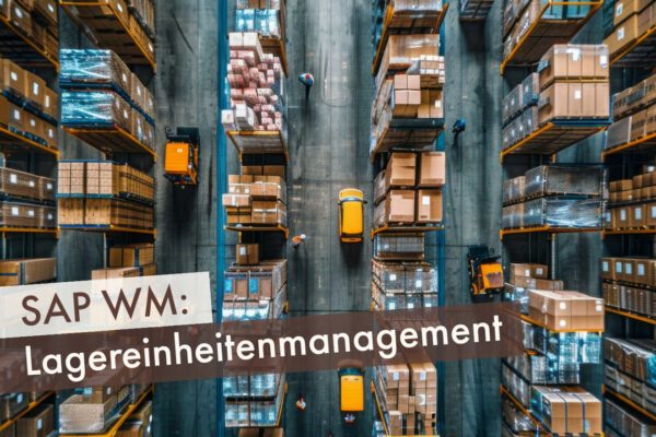 SAP WM Lagereinheitenmanagement