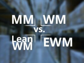 SAP Logistik-MM-vs-WM-vs-Lean-WM-vs-EWM