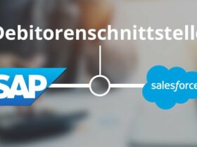Debitorenscnittstelle SAP - Salesforce