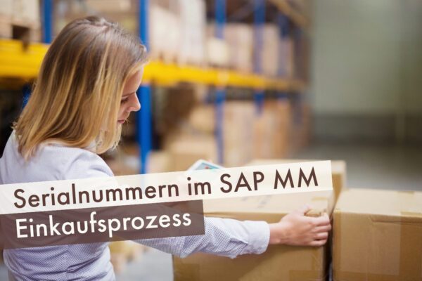 Serialnummern im SAP MM Einkaufsprozess