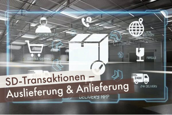 SD-Transaktionen – Auslieferung & Anlieferung