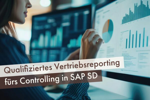 Qualifiziertes Vertriebsreporting fürs Controlling in SAP SD