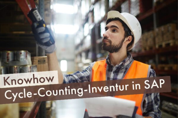 Cycle-Counting-Inventur in SAP