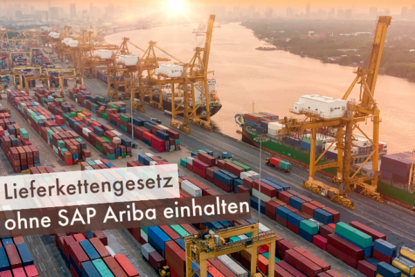 Lieferkettenschutzgesetz-ohne-SAP-Ariba einhalten