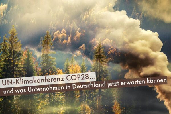COP28 Blogbeitrag